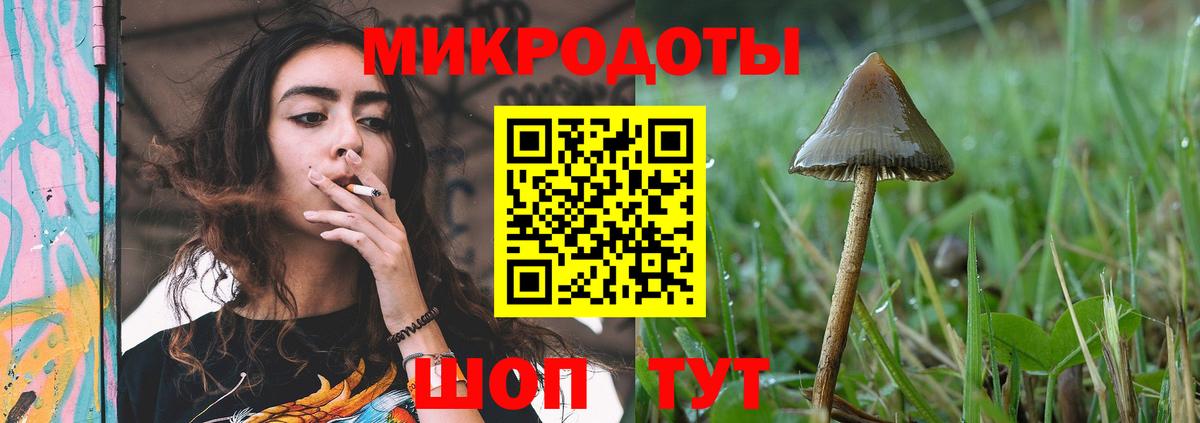 Псилоцибиновые грибы мухоморы Кушва